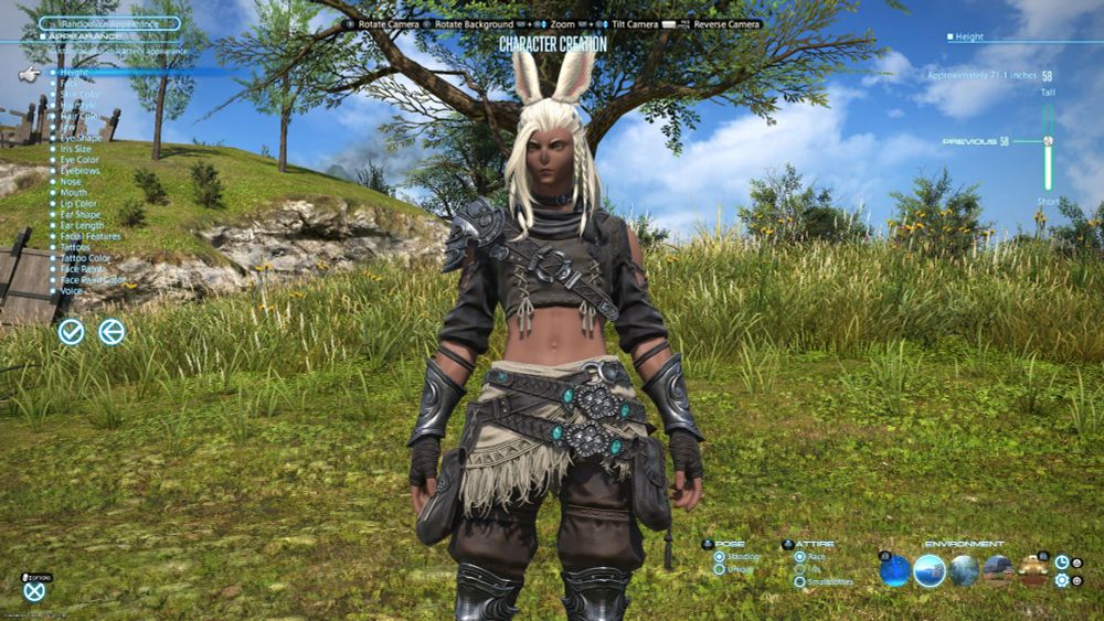 Dark skinned male viera with blonde hair