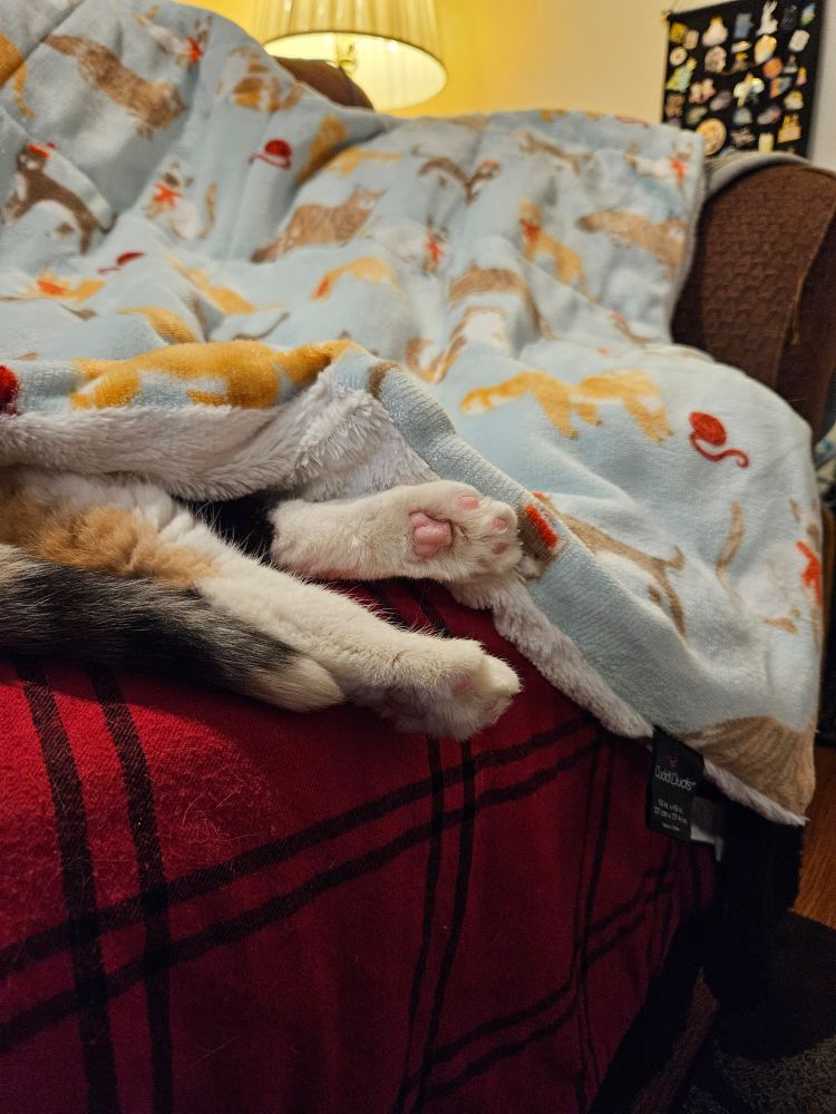 A cat's back legs and tail peek out from underneath a fluffy blue blanket with cats printed on it. Yes, that's Hannah, sticking her feet out from under the blanket -  probably to keep herself from overheating.  