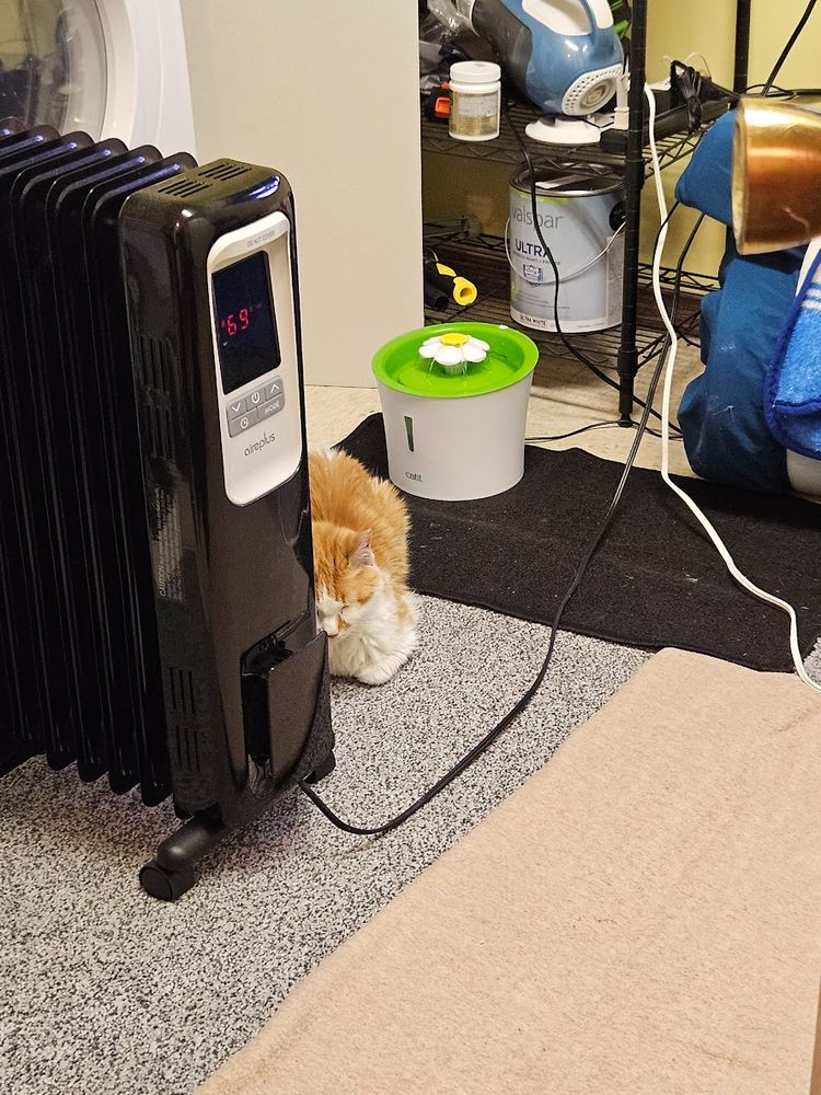 Peggy, an orange tabby cat with white markings, zoning out in cat-loaf mode near a space heater. Her eyes are closed and she looks pretty sleepy, if she's not actually fast asleep. 