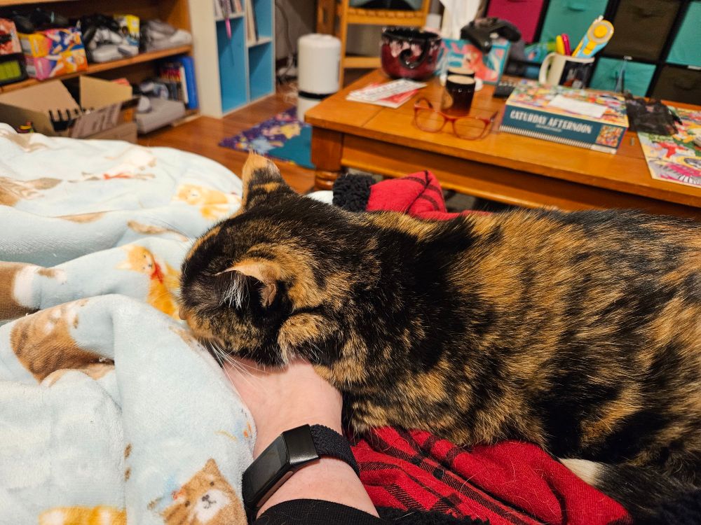 Hannah the tortico cat, using her mama's hand as a pillow while laying on her lap. 