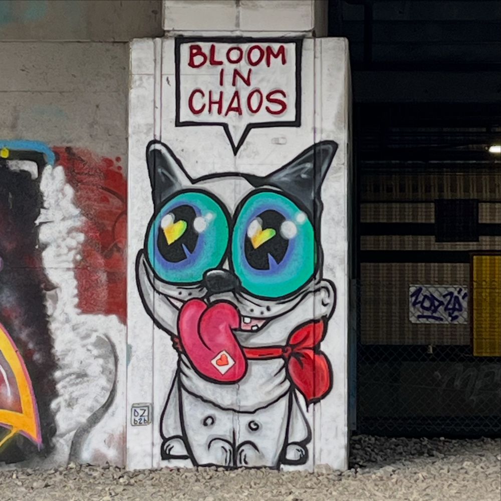Graffiti of a dog (cat?) with the words ‘Bloom in chaos’ in a speech bubble