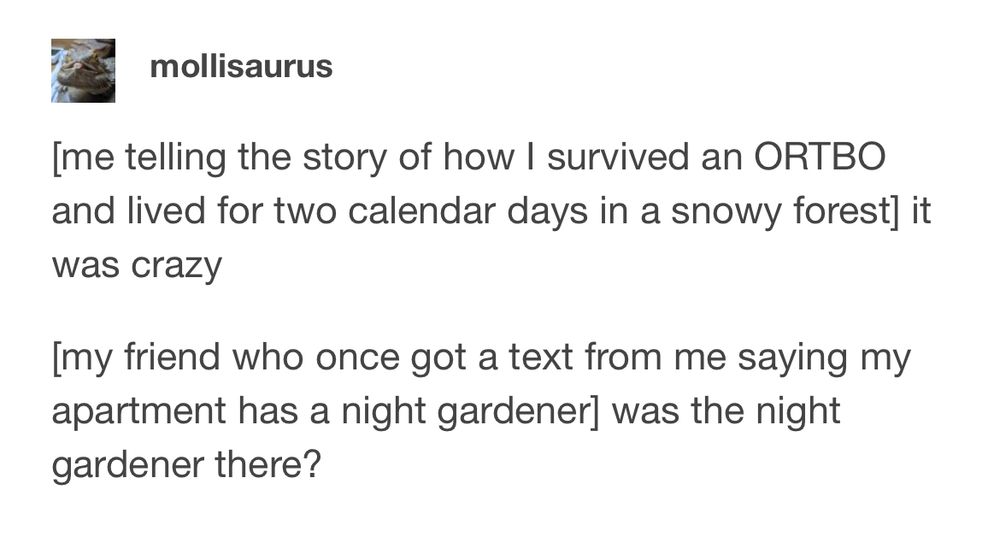 [me telling the story of how I survived an ORTBO and lived for two calendar days in a snowy forest] it was crazy
[my friend who once got a text from me saying my apartment has a night gardener] was the night gardener there?