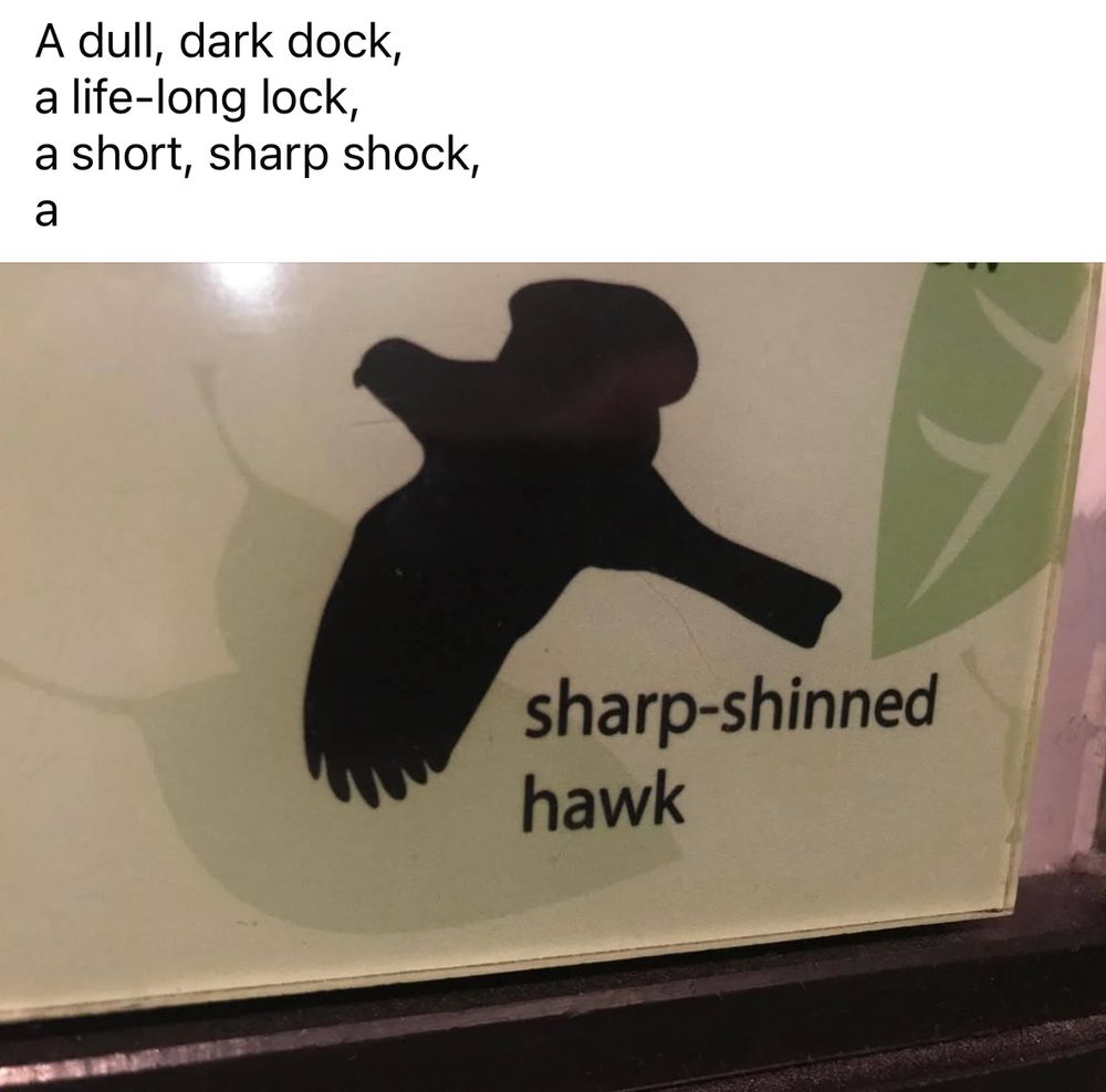 Comment image