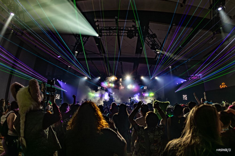 In-crowd shot of FWA