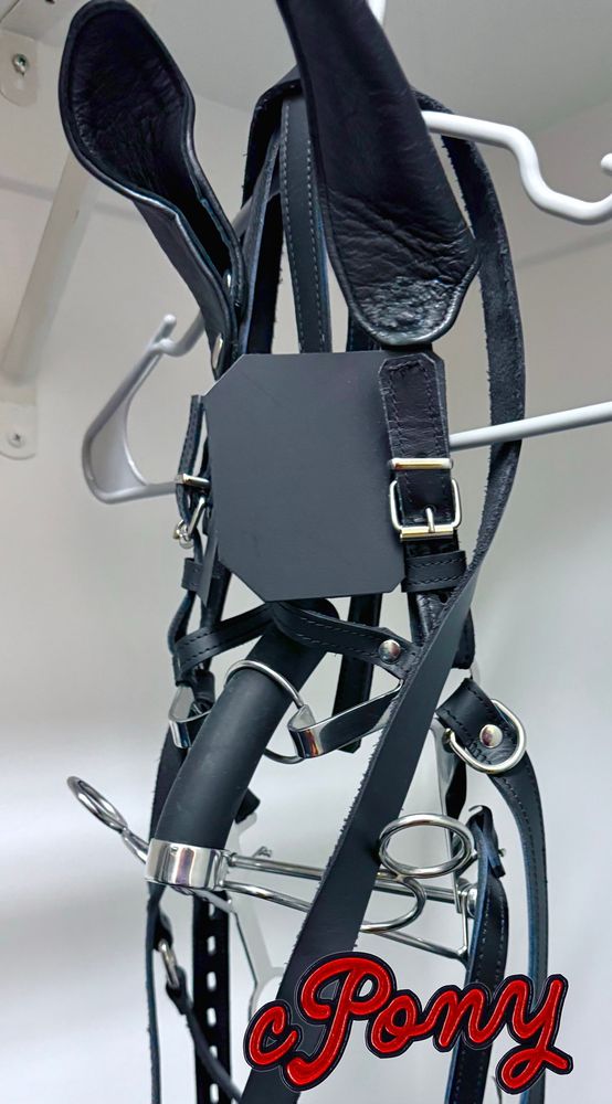 A deepthroat training bridle from Hot Steel Toys I purchased a few years ago just hanging in my new closet 