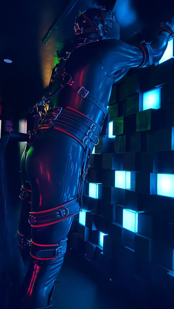A photograph of cPony dressed as a human pony.  He is wearing a shiny black latex catsuit, black rubber hand-hooves, a bespoke human pony bridle with an ostrich feathers plume.  He also has a bondage-style leather pony harness & cuff set that is black with red piping, with silver-colored hardware - matching his Ponyplay Bridle in style.  He is facing a colorfully lit wall fixture, leaning forward upon it, with his shiny rump & horse-tail facing the viewer at a 3/4th angle.  There is red backlighting on his posterior that compliments the cyan lighting from the wall fixture.