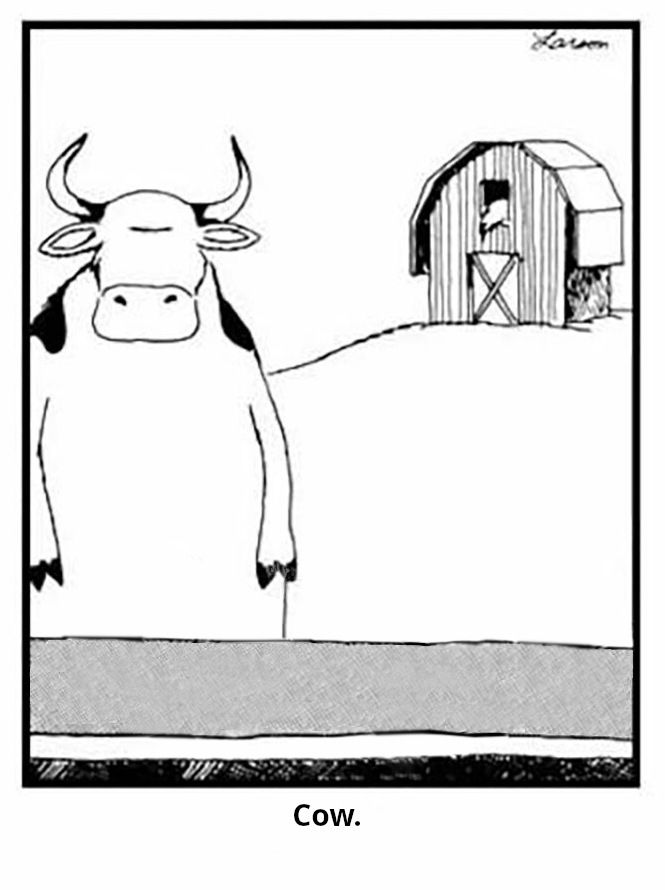 Cow tools. Just cow. No tools.