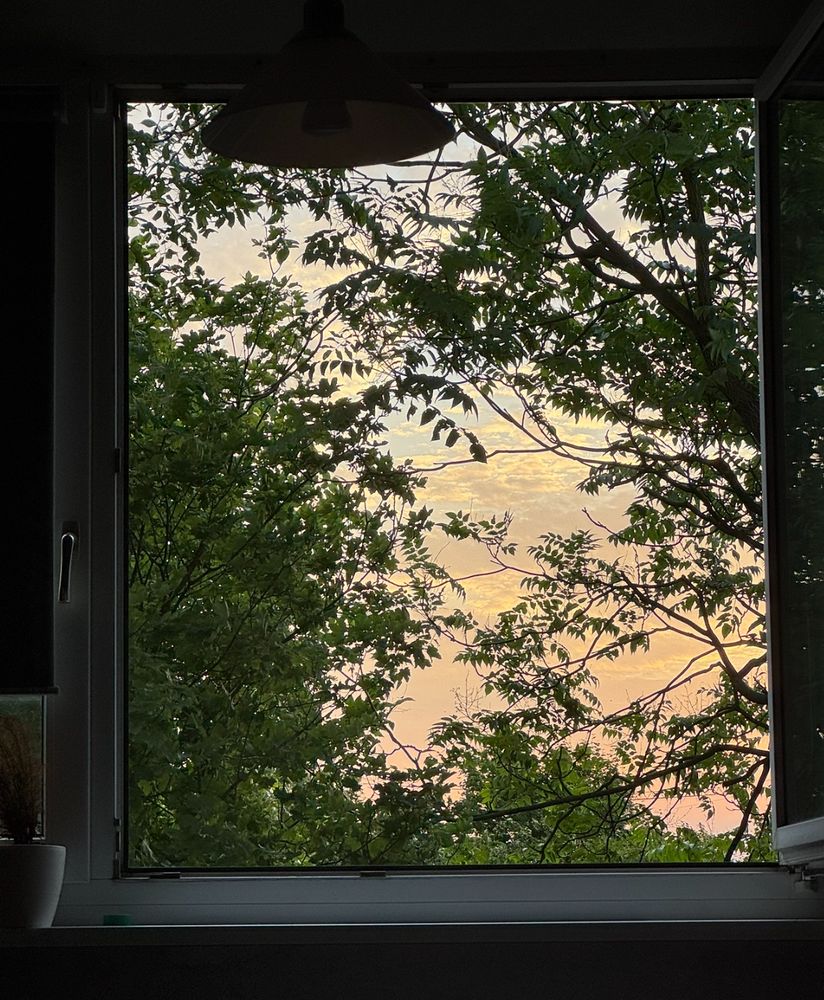 An open window, showing some trees, branches and twigs in front of a slightly cloudy early morning sky in grey-blueish-orange colors.