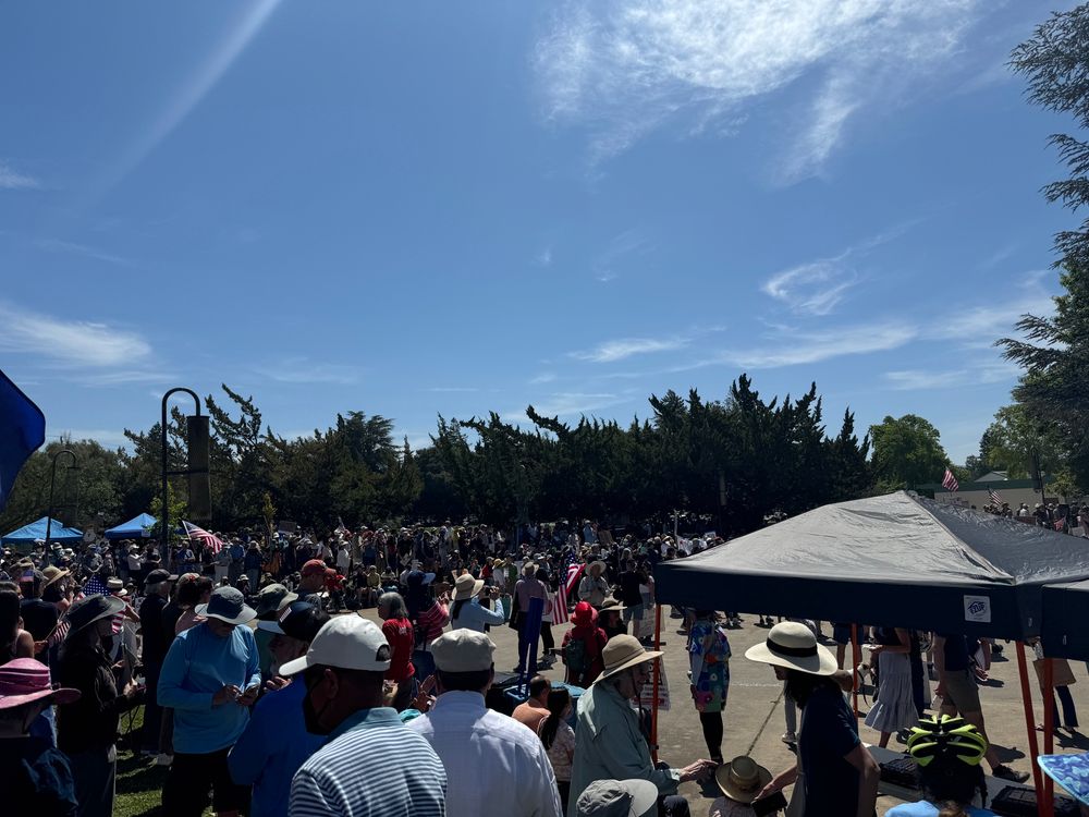 Photo of the same area from a different angle—thousands of people gather to defend our democracy