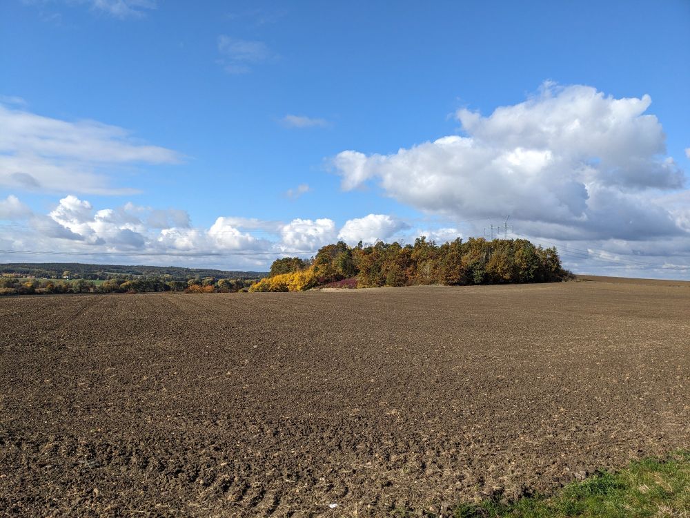 Skies clouds fields trees.