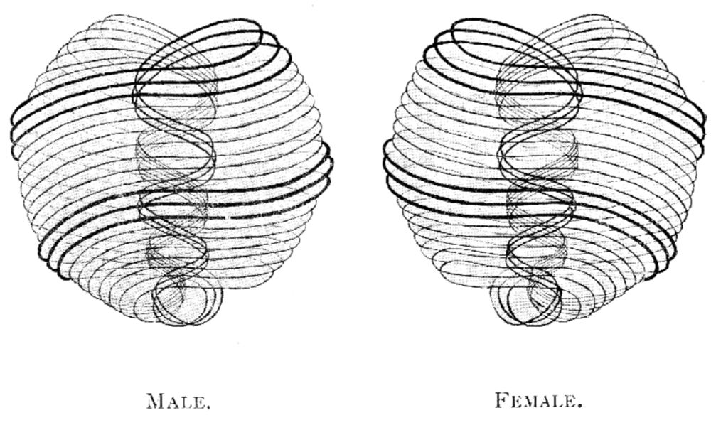 Seeing Voices, Margaret Watts Hughes, and the Science of the Invisible