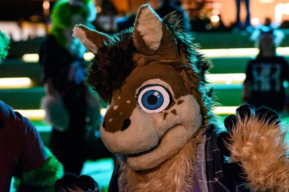 A pony fursuiter stands amongst other furries in a park at night. The camera is focused on the pony as they hold up their hands.