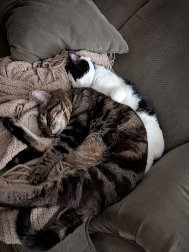 two cats are sleeping, one (a black & white cat) lays partially underneath his larger brother (a dark & light brown tabby) who has legs stretched like he's doing a high kick