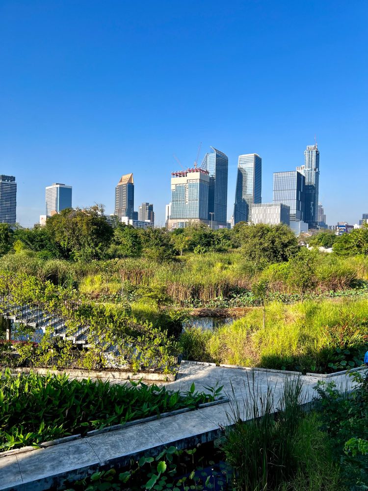 Wetlands with a concrete path and steps in the foreground, with the skyscrapers of Bangkok’s skyline in the backdrop. 