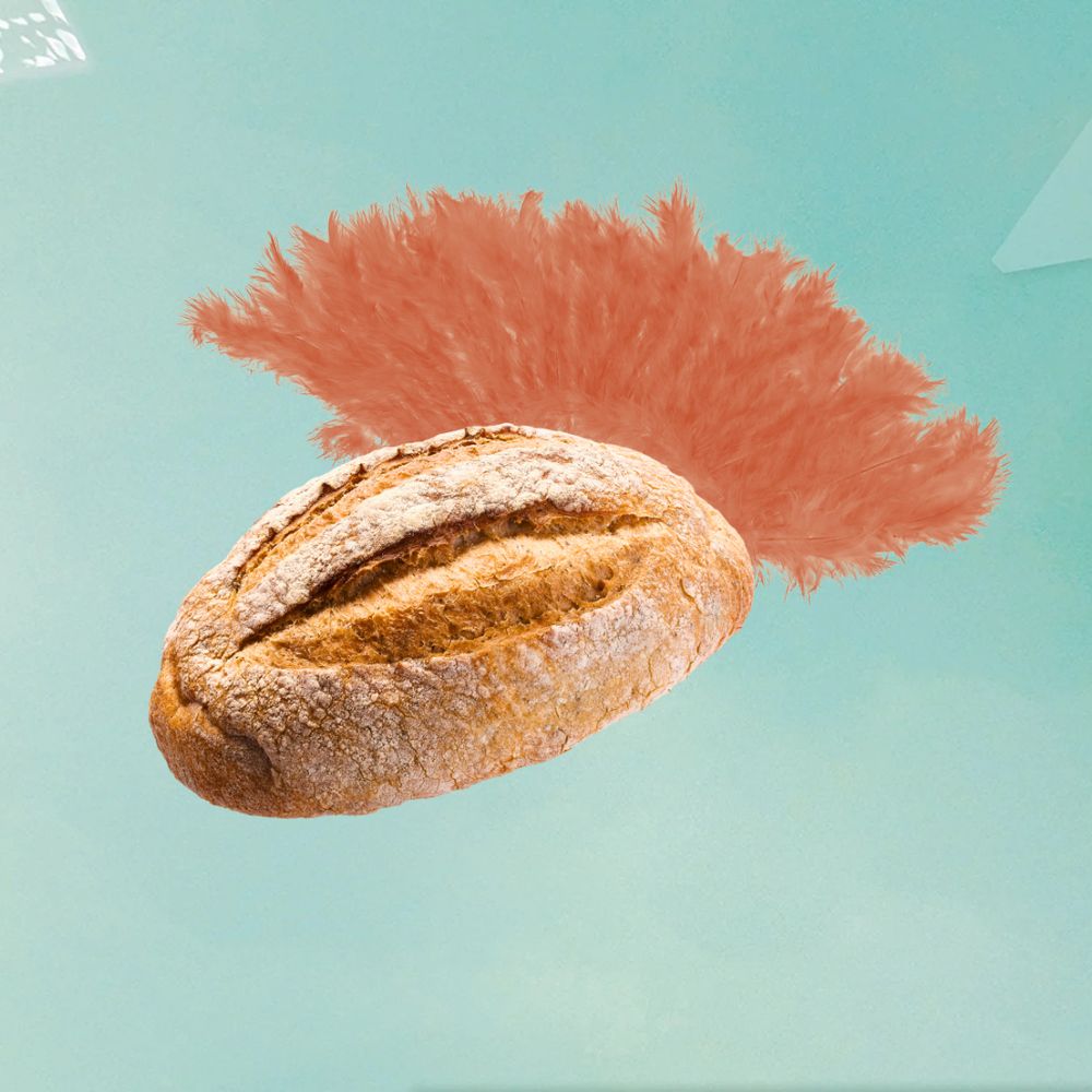 Mint green background with a sourdough loaf and an orange feather tail