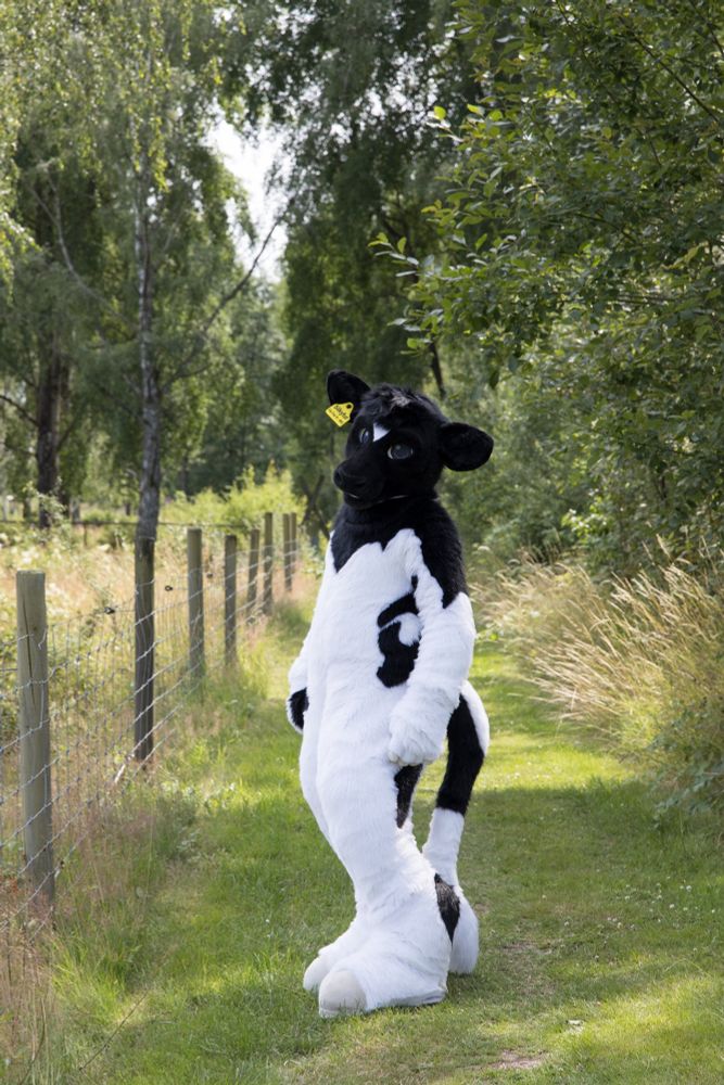 Black and white bovine fursuiter standing surrounded by green grass and leafy green trees.