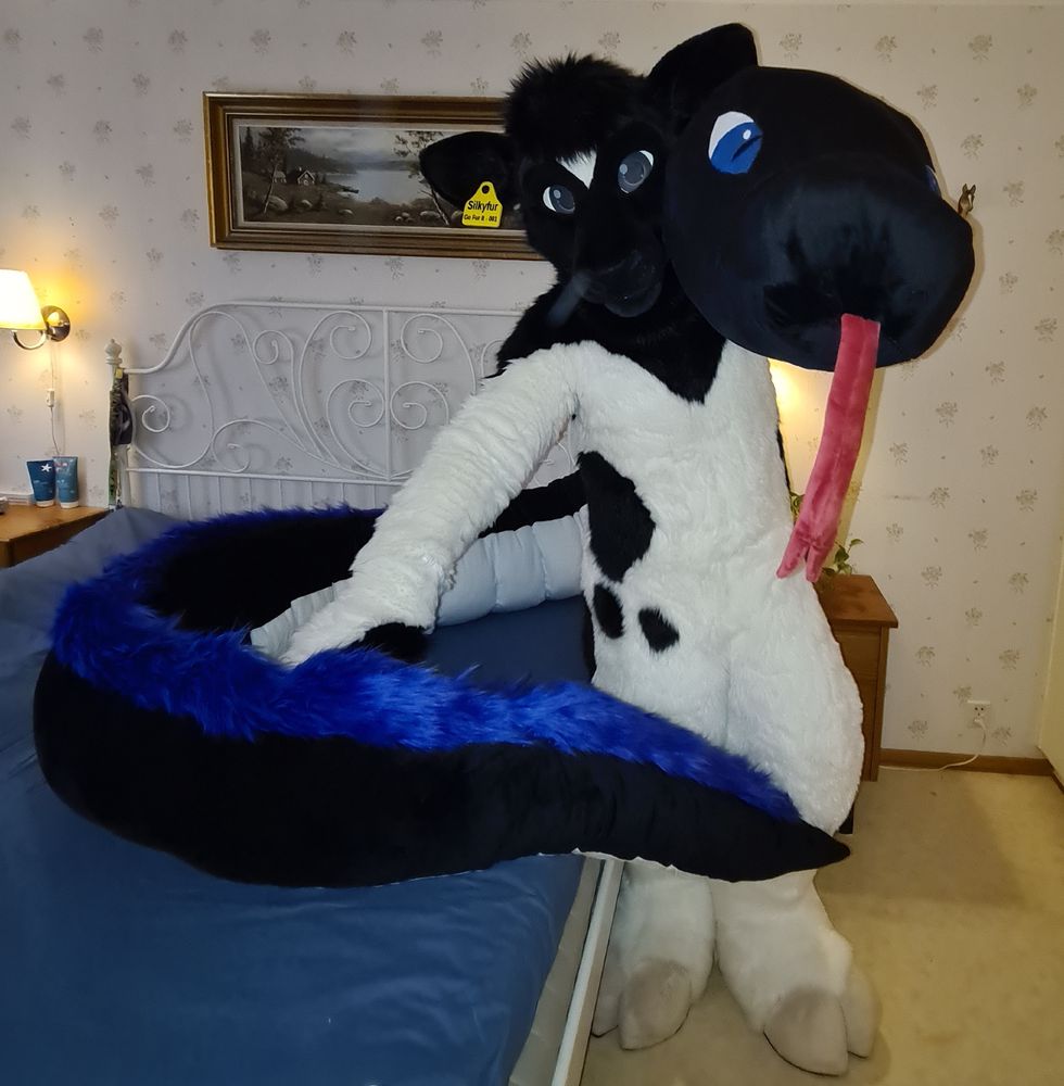 Black and white bovine fursuiter posing with a large black, white and blue snake plushie.