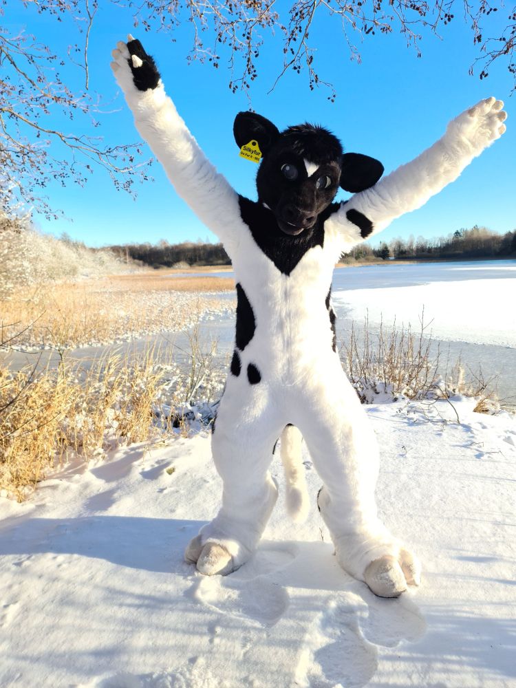 A black and white bovine fursuiter looking happy, with arms stretched up against the blue sky. There is snow on the ground and a lake in the background.