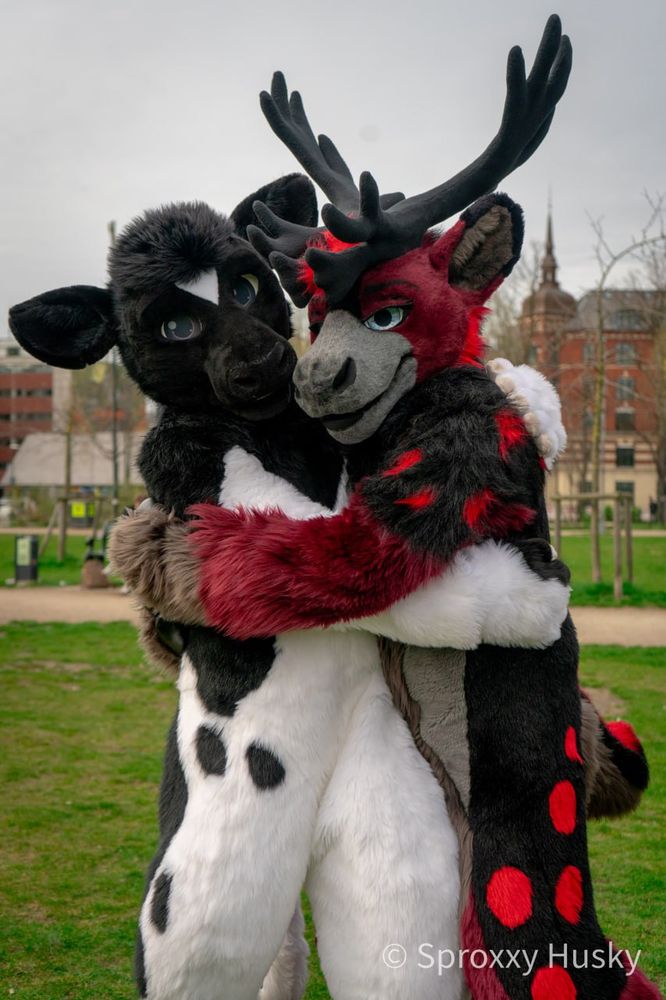 Bovine and caribou fursuiters hugging.