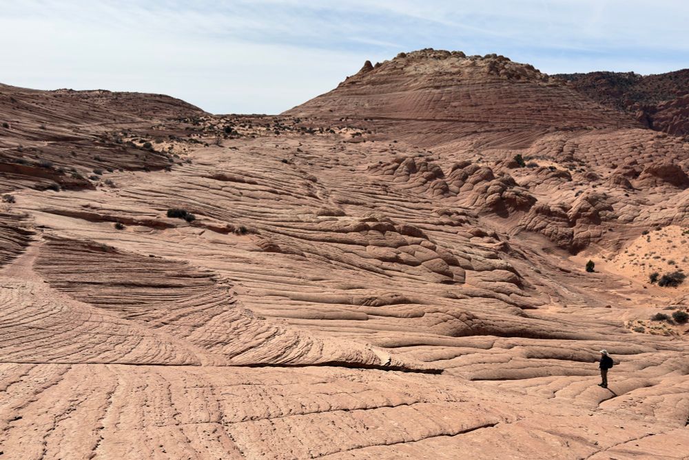 More cross bedding and more polygonal weathering, as far as you can see