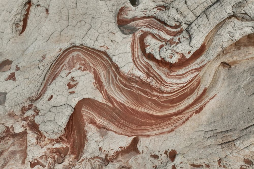 Several red-colored foresets of the Navajo Sandstone are deformed to create beautiful shapes by the liquefaction of the wind-blown sand