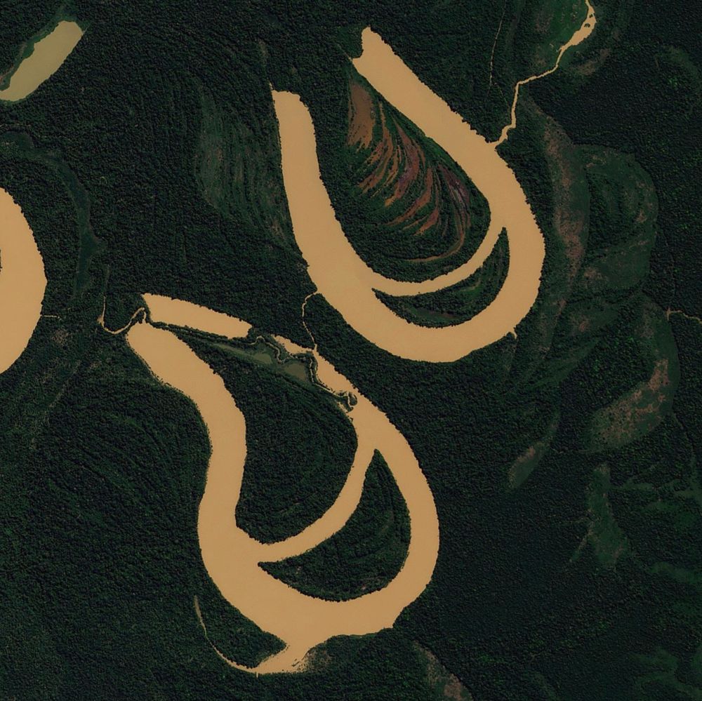 Two oxbow lakes of similar orientation, filled with yellow-brown muddy water, and surrounded by a dense, dark green forest.
