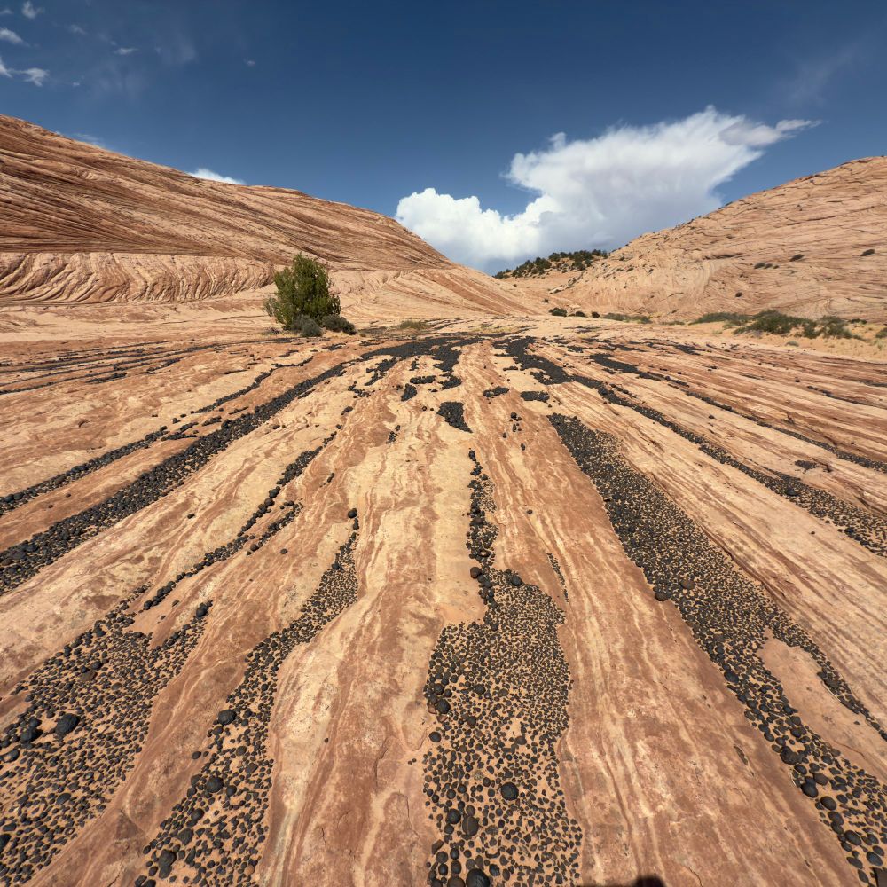 Moqui marbles line up in elongated patches that parallel eolian bedding in the Navajo Sandstone 