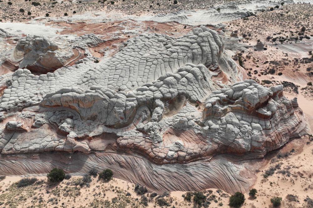 A view of the southern side of White Pocket. Polygonal weathering of the homogeneous sandstone layer at the top. In situ aeolian cross bedding is visible at the bottom.
