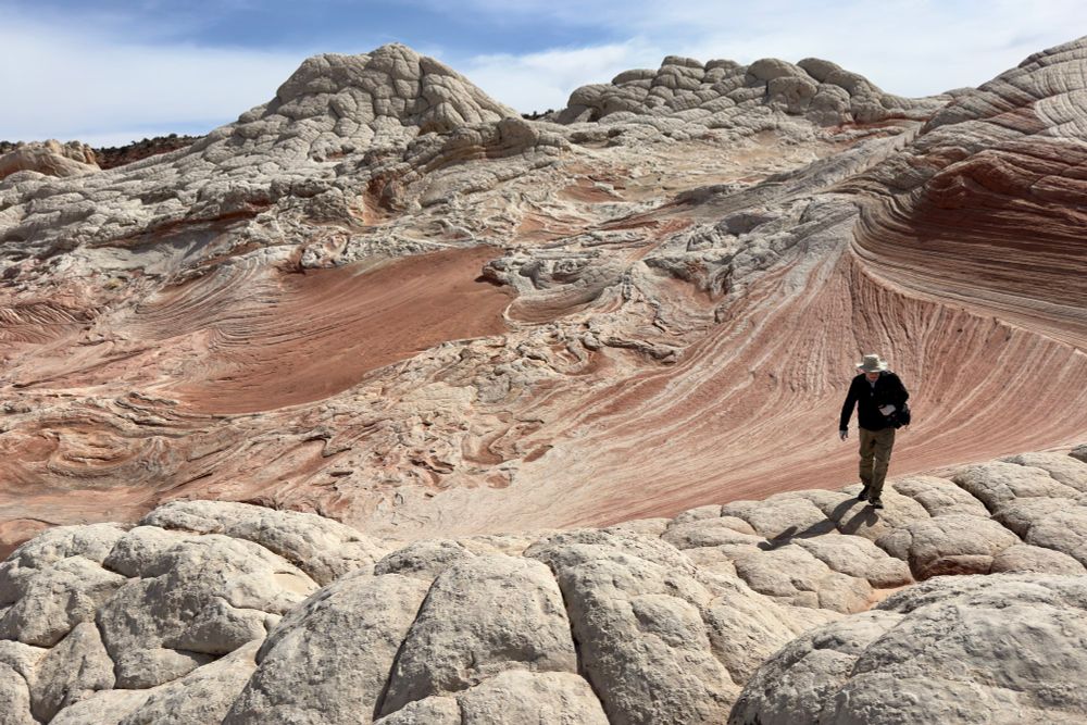 White sandstone with polygonal weathering above deformed cross bedding and large blocks that are mostly red