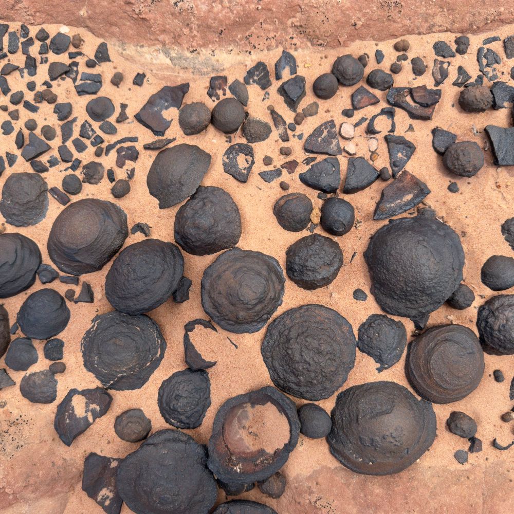 A close-up view of the concretions