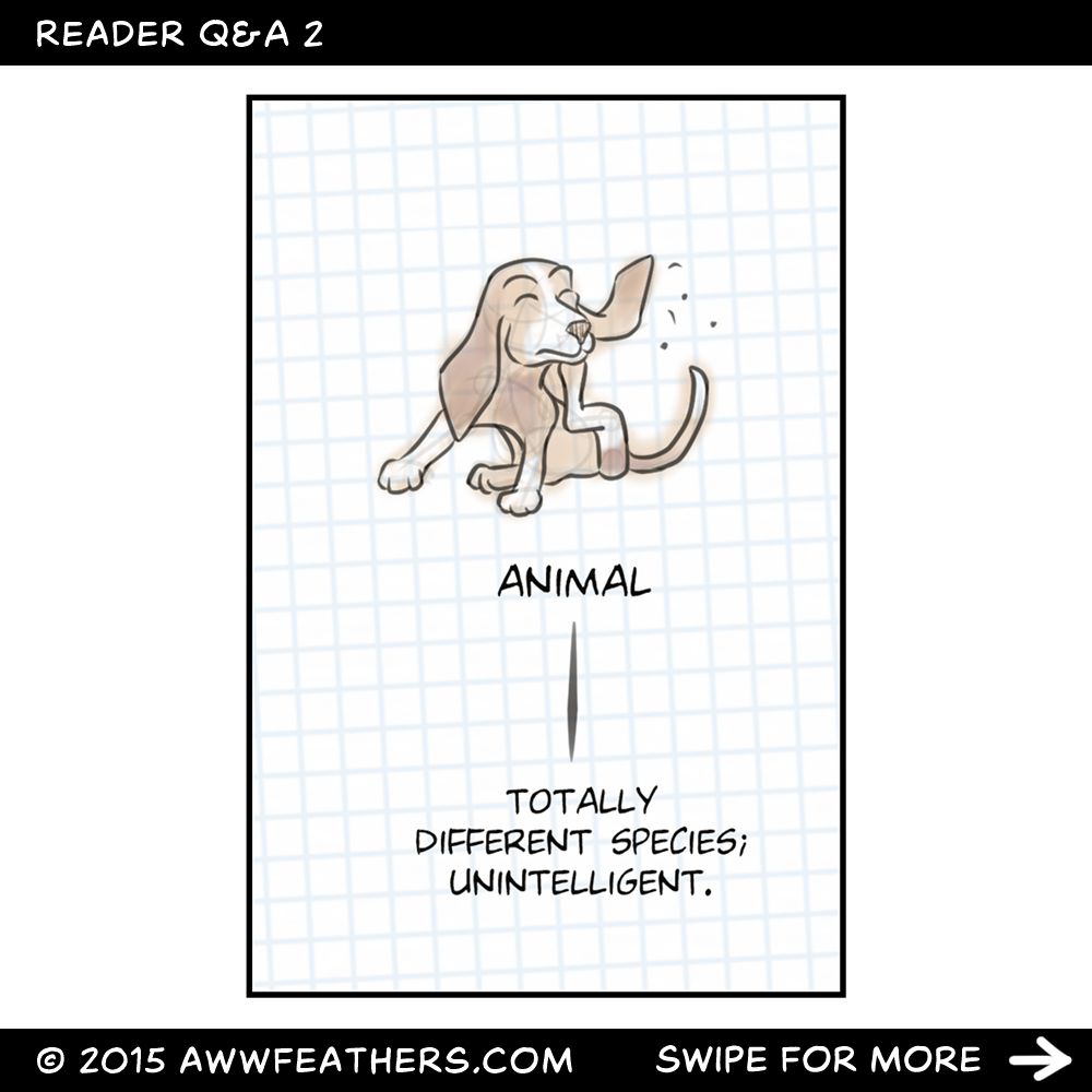 Then, a normal, animal beagle sits on the floor scratching itself with labels that read, "Animal, totally different species; unintelligent." 