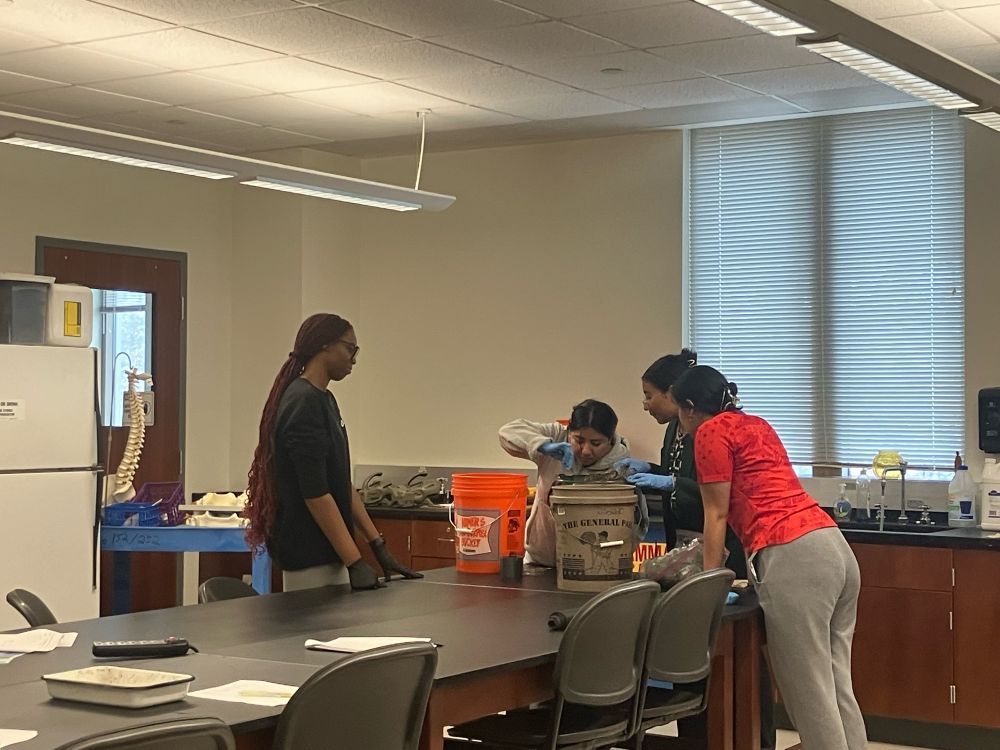 Students in a biology lab classroom looking at a bucket