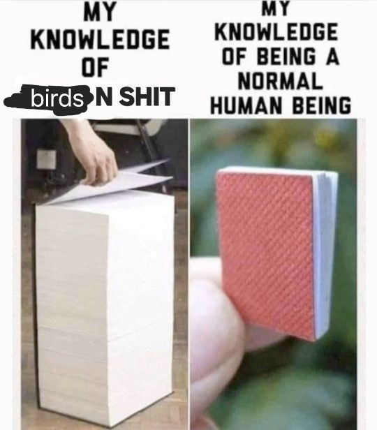 Two images side by side.
"My knowledge of birds n shit": massive stack of paper.
"My knowledge of being a normal human being":teenie tiny book