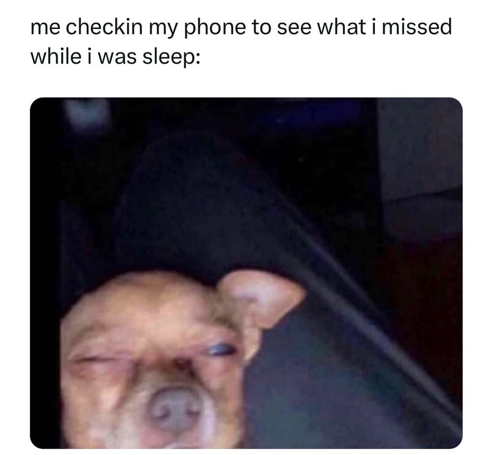 "me checkin my phone to see what i missed while i was sleep" above a picture of a very tired dog with one eye barely open