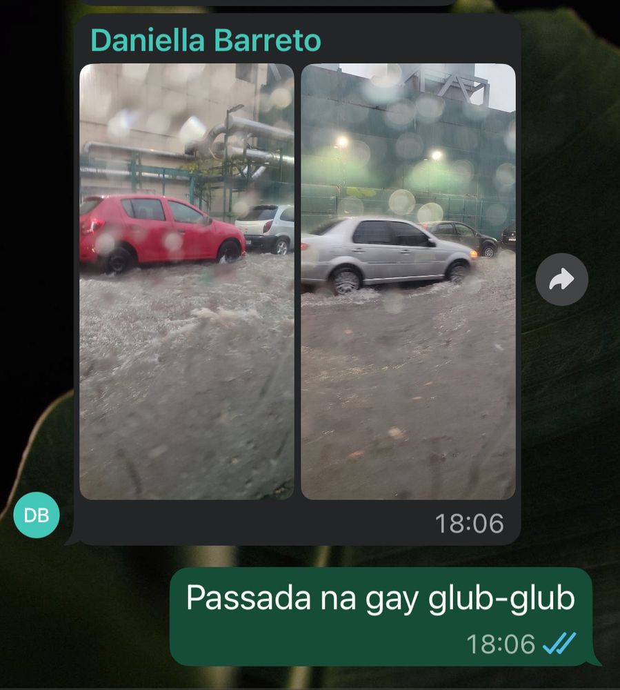 Eu respondendo: passada na gay glub-glub 
