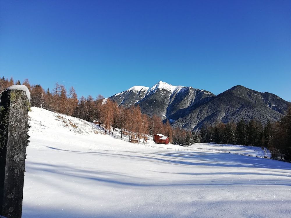 Hochtal im Schnee, dahinter braune Bäume und ein schneebedeckter Gipfel.