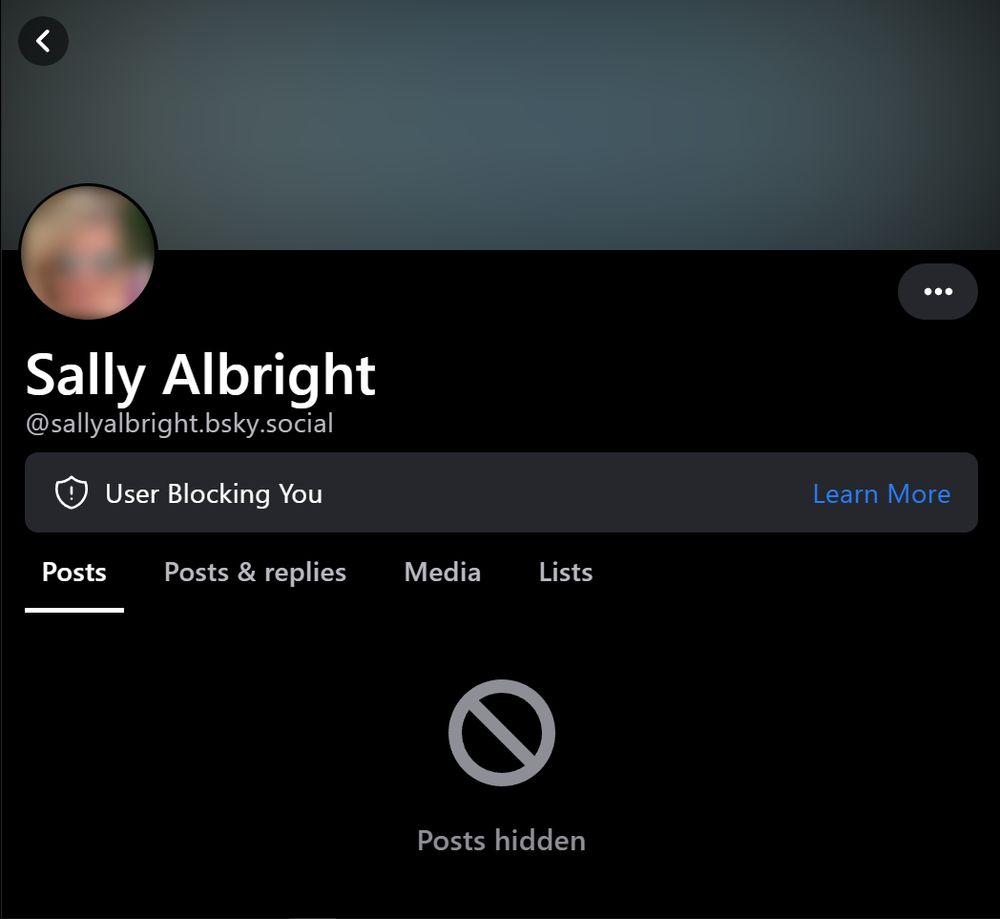 Sally Albright's profile: 'User Blocking You'