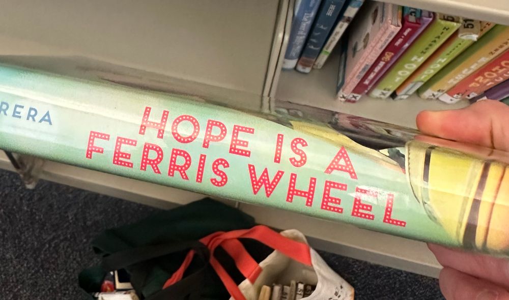 The spine of a book titled HOPE IS A FERRIS WHEEL