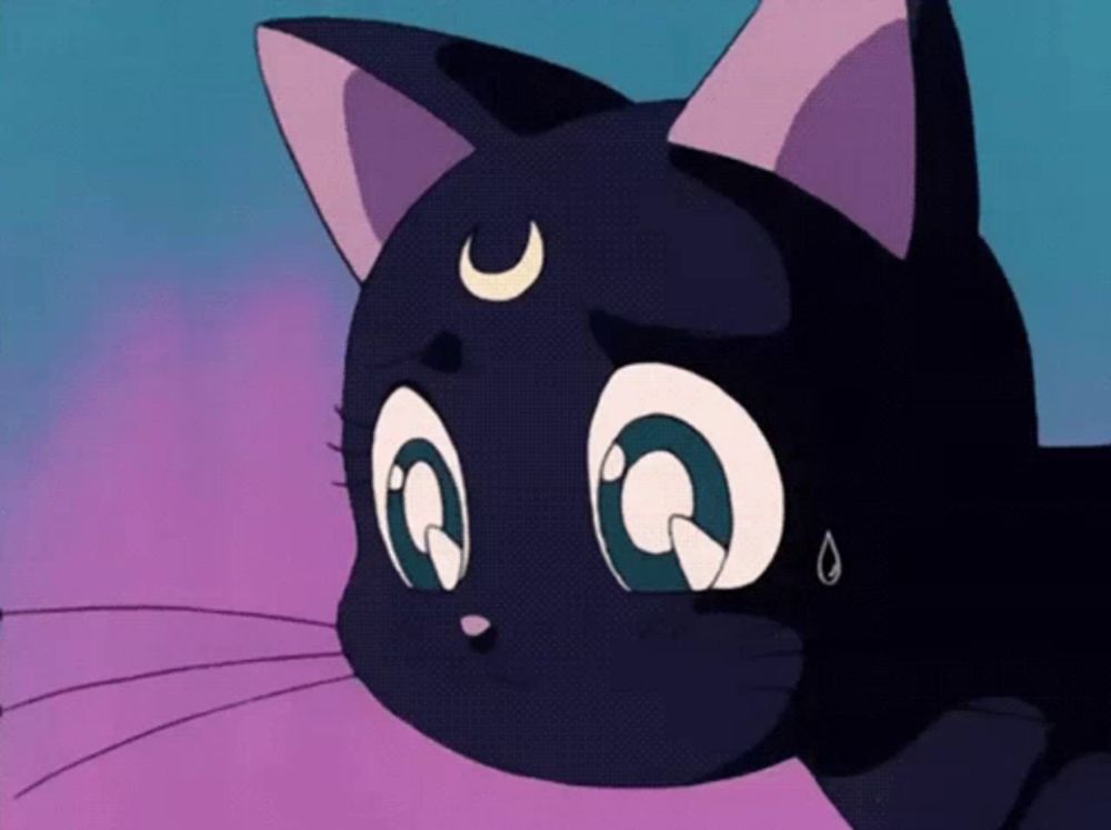 a cartoon cat with a crescent moon on its head