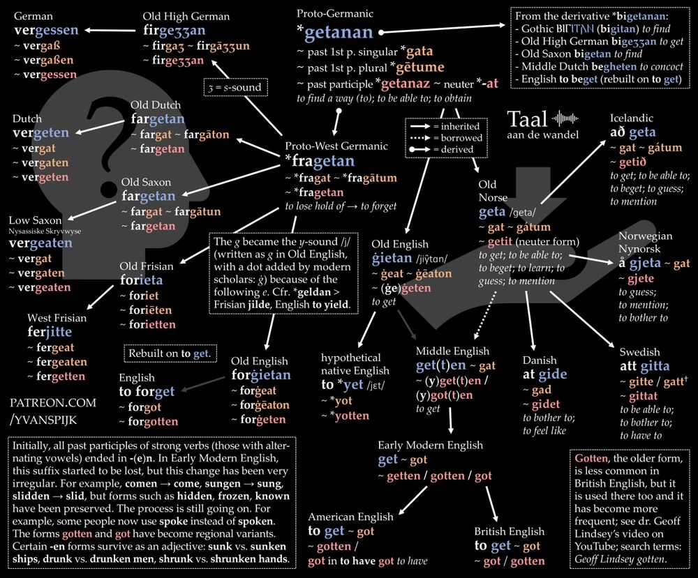 The distant ancestor of to forget meant ‘to lose hold of’. It was the opposite of to get. Speaking of to get, this verb is special: it only has cognates in the Nordic languages, such as Norwegian å gjeta. It was even borrowed from their Old Norse ancestor geta. The infographic will tell you more.