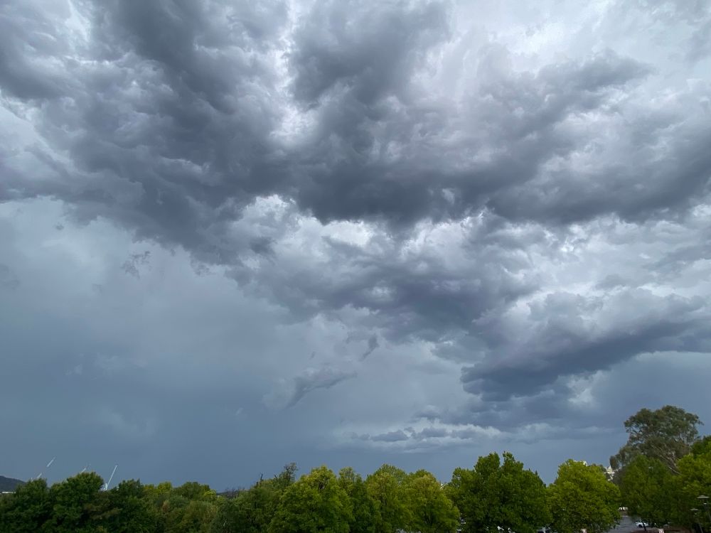 Stormy grey clouds over gorgeous green trees. I waited 15 minutes for more lightning strikes, but Thor wasn’t playing ball!