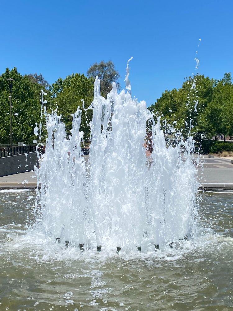 Another Photograph of one of the fountains in the fountain pool outside of the National library of Australia in Canberra with green trees in the background marking the beginning of reconciliation place. The sky behind is a gorgeous blue with not a cloud to be seen. I included this photograph as well as some shoots of water have broken away from the main fountain and dance off on their own. It looks like it’s jumping away saying yippee. At least that’s how I see it.