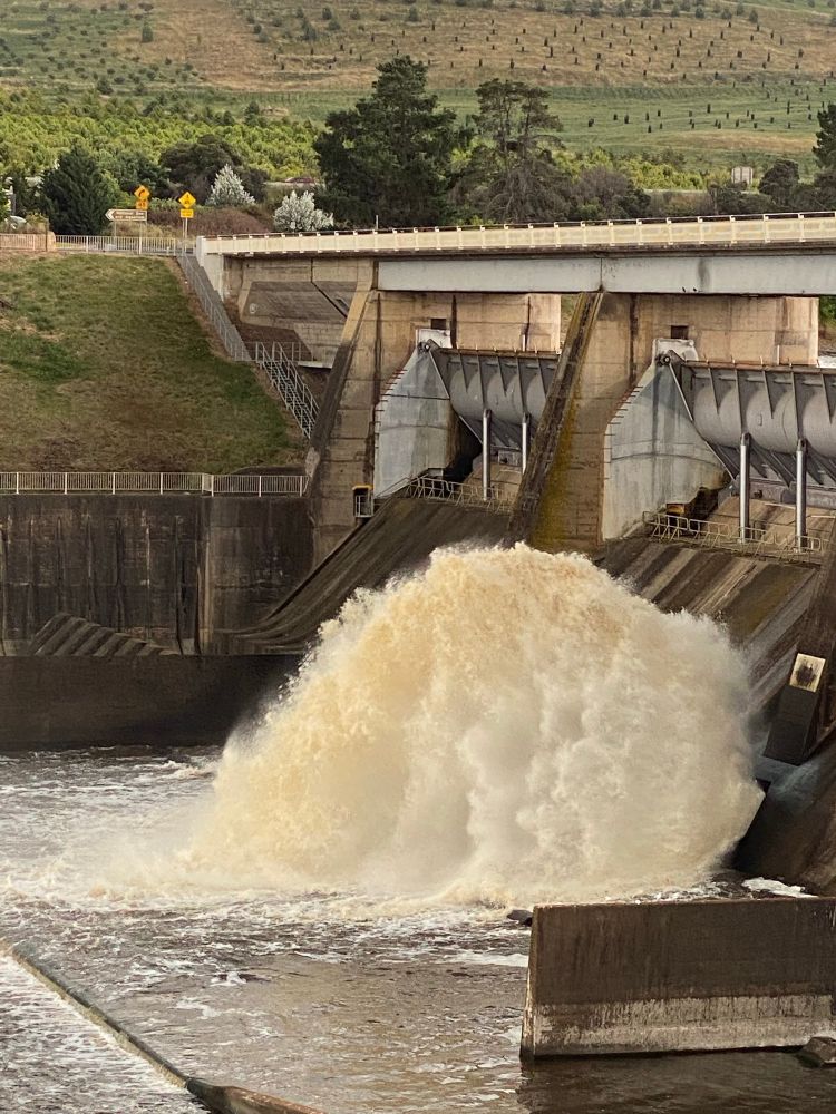 Photograph of the Scrivener dam in Australia’s federal capital territory, Canberra, on Ngunnawal and Ngambri land. The dam has a lovely big gosh of water overflowing into the collection pool. in the background of the hills and trees of the National Arboretum. to the right is the dam with the bridge crossing over that heads towards the zoo and the Arboretum. it’s a drizzly day so the sky is grey and the hue of the photograph is brown and dim, but in a lovely way