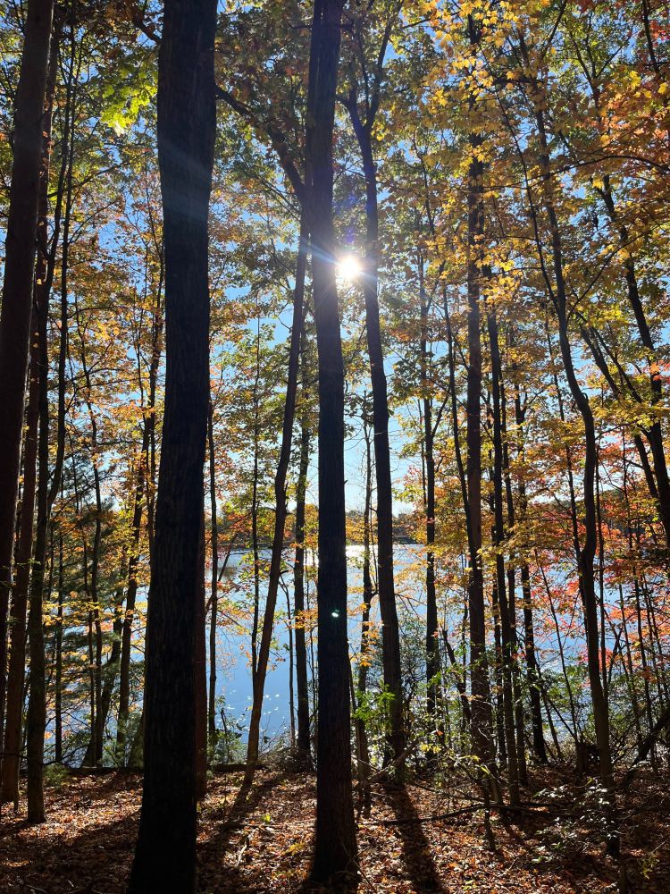 Lake Wintergreen with fall foliage.
