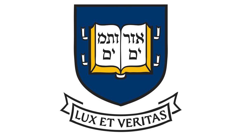 Yale shield