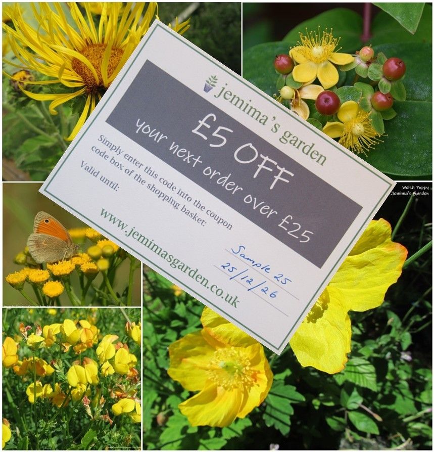 A paper voucher entitling someone to £5 off their next order for £25 or over with Jemima's Garden. The voucher is a sample. The voucher is placed over a photograph of 5 different plants, all with yellow flowers.  These are Elecampane, Tutsan, Tansy, Bird's Foot Trefoil and Welsh Poppy.