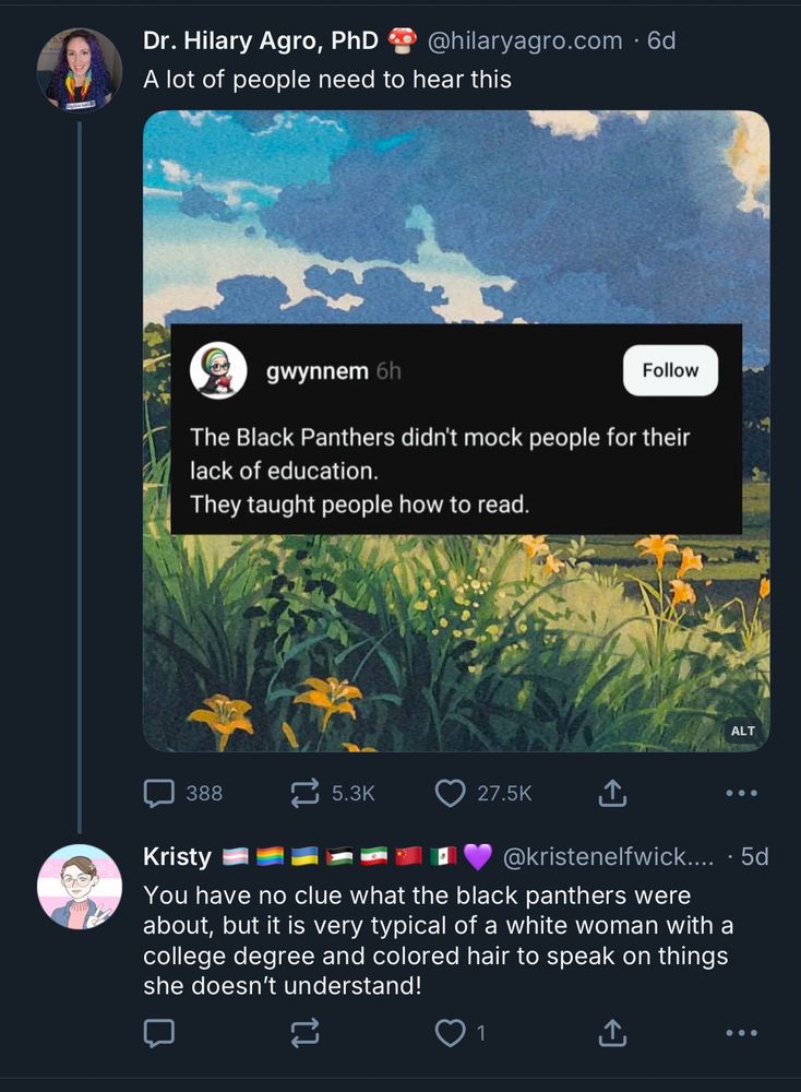 Claiming to know about Black Panthers and denigrating women with colored hair. 