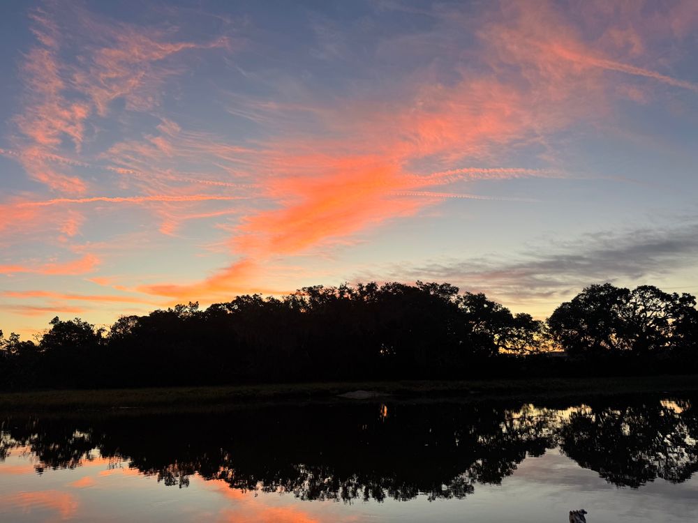 Pink scattered clouds over a hammock of trees on the edge of an island, reflected in perfectly still water.