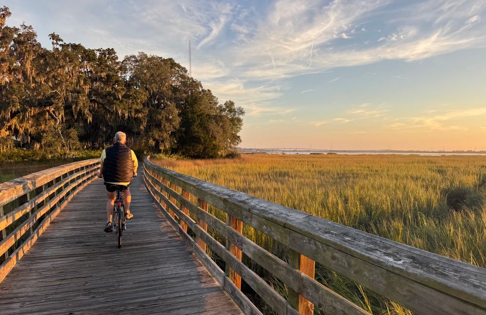 A man riding a bike on a wooden boardwalk crossing a marsh. Everything is golden in the setting sunlight.