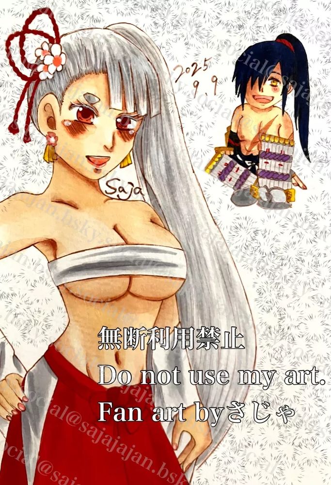 新ブシと若ブシ